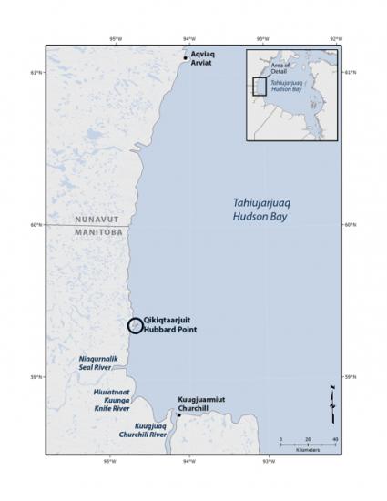 Hubbard point map digi