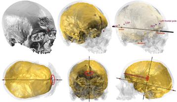 illustration-cro-magnon.jpg