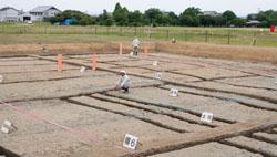 imperial-accession-ceremony-structure-kashihara.jpg