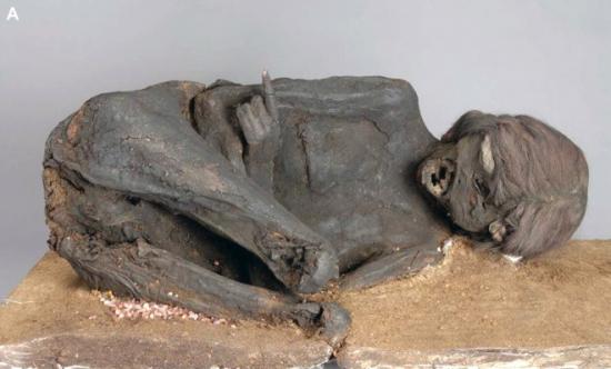 Incan mummy