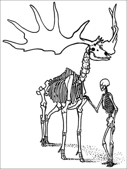 Inside man and deer skeleton