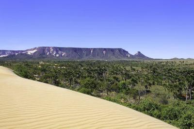 Jalapa o brazil min