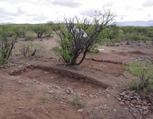 Kino1701site