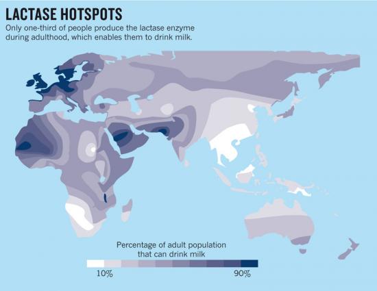 lactase-hotspots2.jpg