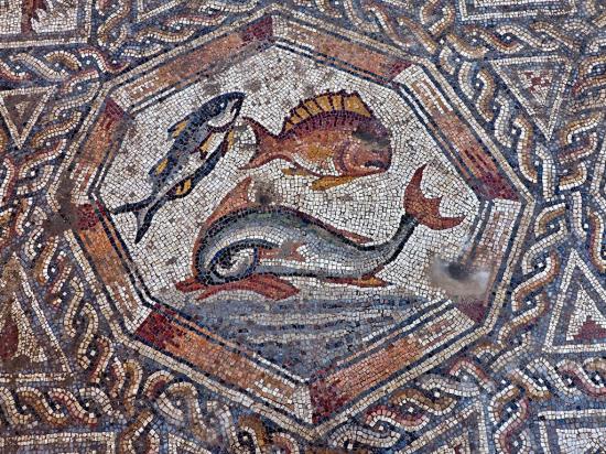 Lod mosaic assafperetz iaa 4 1024x768