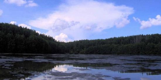 mangrove-swamp-in-ecological-tourist-zone-vam-sat-c-n-gi-district-ho-chi-minh-city-vietnam-578x289.jpg