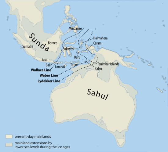 map-of-sunda-and-sahul.png