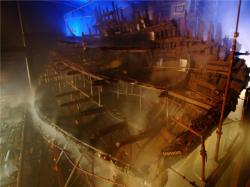 maryrose-conservation1-1.jpg