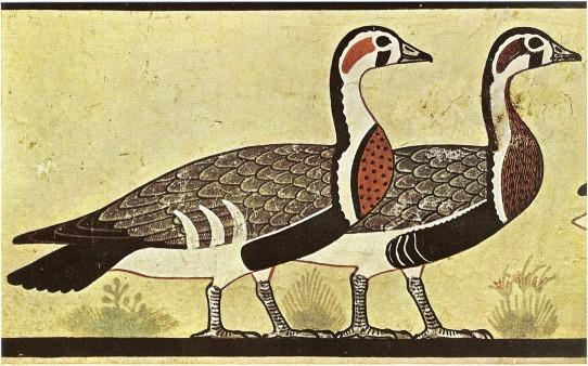 Meidum geese 1 542x338