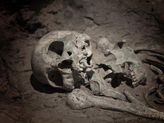 Mi viking skeleton dig archaelogy getty