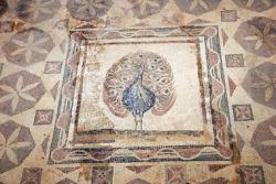 mosaics-house-of-dionysos1.jpg