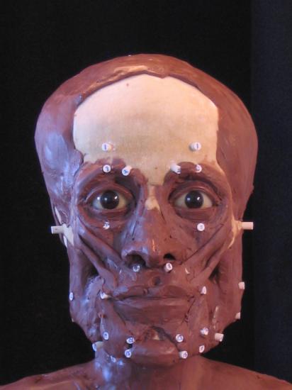 mummy-reconstructions-4.jpg