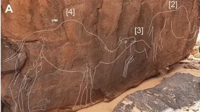 Mysterious camel carvings
