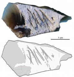 Neandertal gravait aussi minuscules outils exact1024x768 p