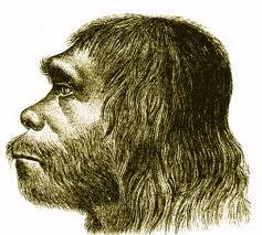 neanderthal.jpg