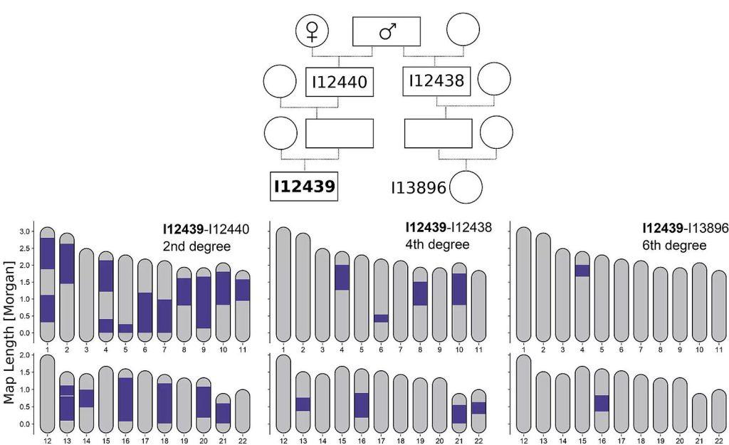 New method analysis min 1024x625