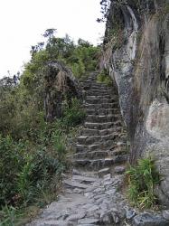 new-section-of-inca-trail-discovered-in-peru.jpg