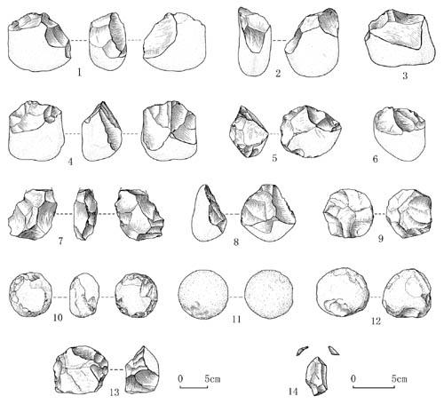 Newpaleolith 1