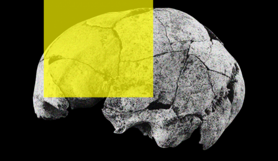 Old skull editorials min 760x443