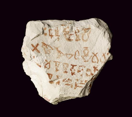 Ostracon2