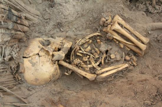 peru-tomb-80-individuals-found-squelette-54287-600x450.jpg