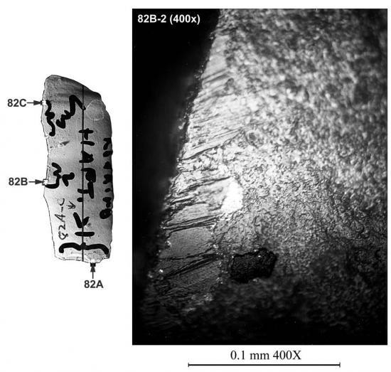 Pinson bladelet magnified