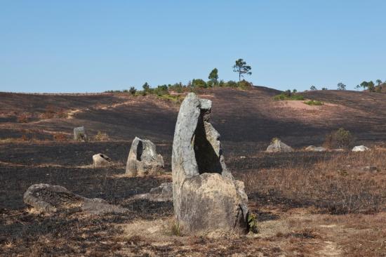 Plain jars solo cracked jpg 1072x0 q85 upscale