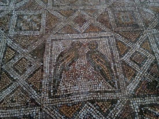Plovdiv basilica mosaics 4