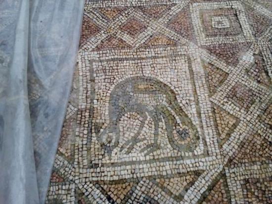 Plovdiv basilica mosaics 5
