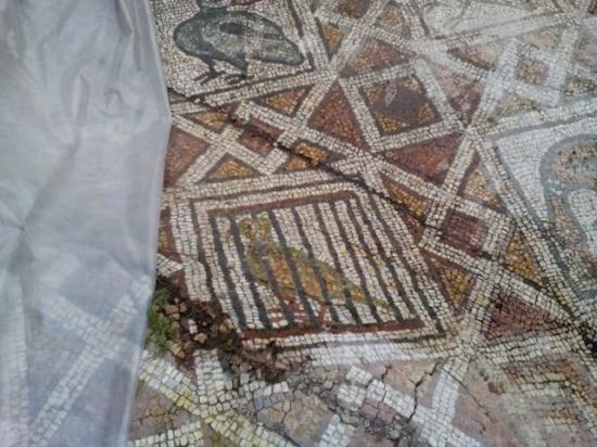 Plovdiv basilica mosaics 6