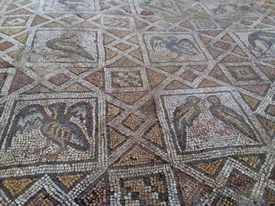 Plovdiv basilica mosaics 71