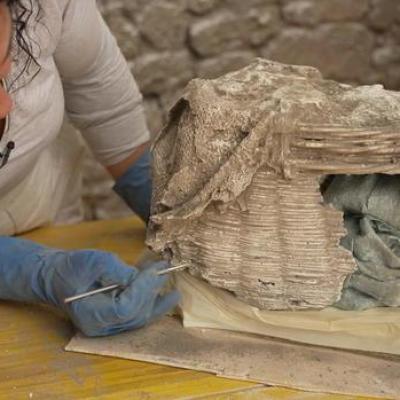 Pompeii basket