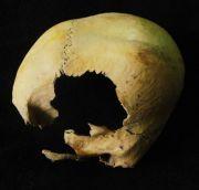 Pre columbian skulls inah 180x172