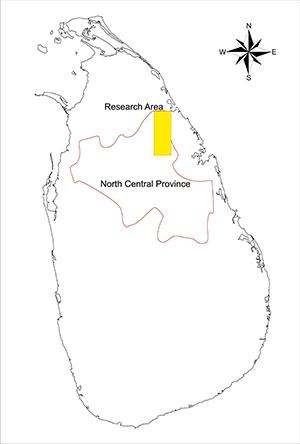 pulmoaddai-research-area.jpg