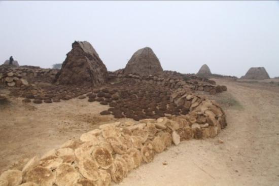 rakhigarhi5.jpg