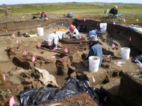 Rising whale site