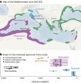 Sequencing genes of ir 1