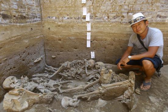 Sican human sacrifice skeletons grave peru 6