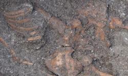 Skeleton varna excavations 1