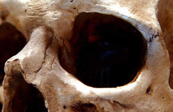 Skull eye socket