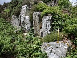stonehenge-stone-source-found-not-wales-46184-600x450.jpg