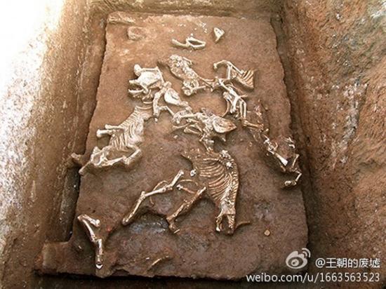 Tomb qin shi huangs grandmother has been discovered xi 2 1