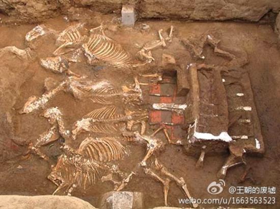 Tomb qin shi huangs grandmother has been discovered xi 3 1