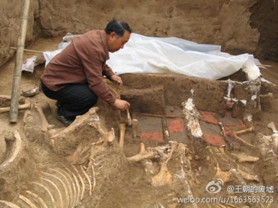 Tomb qin shi huangs grandmother has been discovered xi