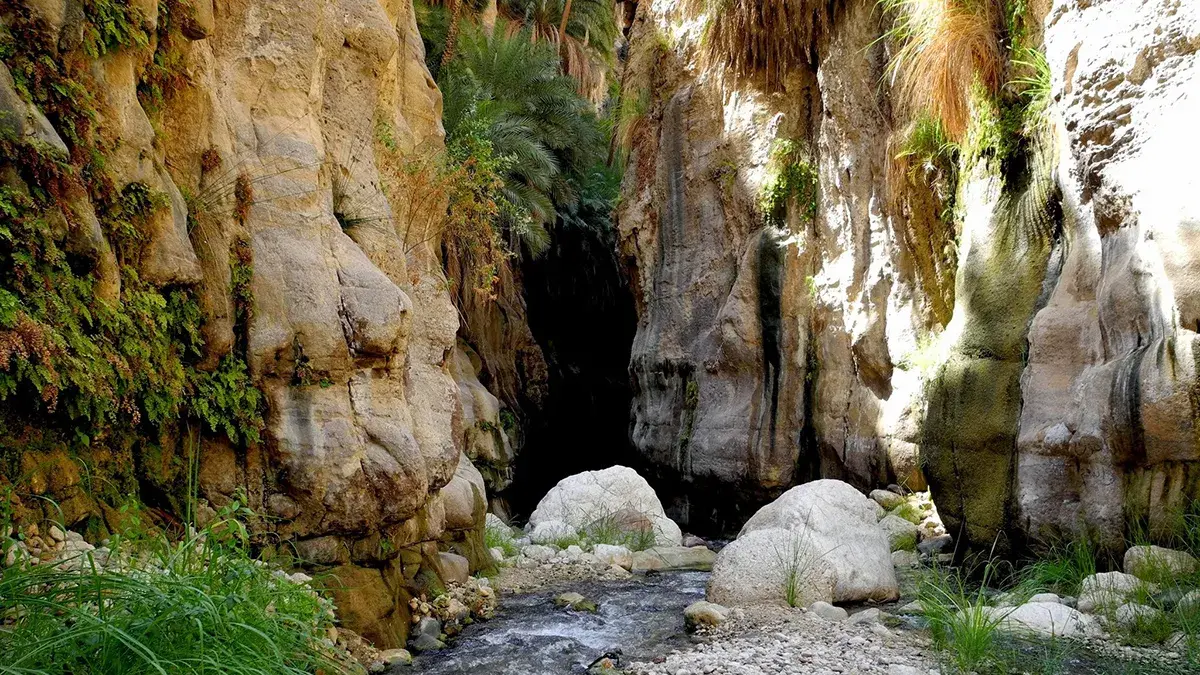 Wadi bin hammad 1