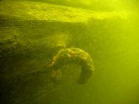 war-1812-shipwreck-scorpion-underwater-54624-200x150.jpg