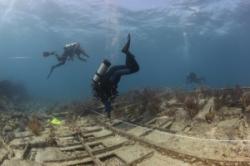 wrecklarge-300x200.jpg
